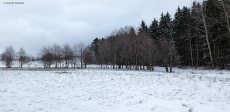 Wintercamping im Wald 2023