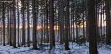 Wintercamping im Wald 2023