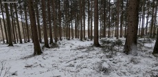 Wintercamping im Wald 2023