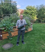 Hochbeet außer Kontrolle und Riesenzucchini